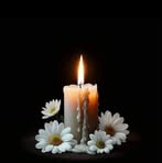 Nelson Galvez - Facebook