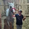 Nelson Garrido - @nelson.garrido18 - TikTok