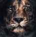 Nelson Garzon - Facebook