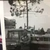 Gilbert Nelson - @gilbertnelson46 - TikTok