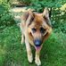 Nelson Gruber - Facebook