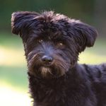 Rosemary Nelson Hansen - @siriusorionhansenblack - Instagram