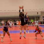 Triangle 15 Black - @harpernelson2025vb - Instagram