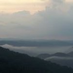 Nelson Harvey - @manbelcher - Instagram