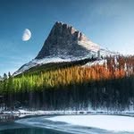 Eléonore Vidal - @nelsonhowell2326133 - Instagram