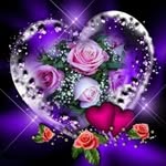 Nelson Jean - @nelson.jean.5477 - Instagram