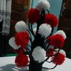 Nelson Keya(Keya holdings co) - @nelson.keya - TikTok