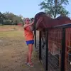 Gina Nelson Lambert - @gina.nelson.lambe - TikTok