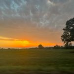 Nelson - @_nelson.lane - Instagram