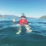 Nelson Lee - @nelson_lawrence - Instagram