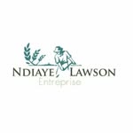 Nelson S. Lawson - @ndiaye_lawson_entreprise - Instagram