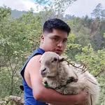 Nelson Leal - @nelsonleox - Instagram