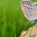 Nelson Lindgren - Facebook