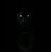 Nelson Lindgren - Facebook
