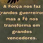 Alexandre Andrade - @nelsonlinkindicacao - Instagram