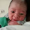 Nelson Lui - @nelson.lui - TikTok