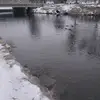 Mason Nelson - @mason.nelson50 - TikTok