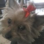 Debbie Nelson Mock - @nelsonmock - Instagram