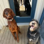 NELSON & MURPHY - @nelsonandmurphy_ - Instagram