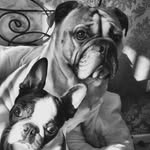Nelson & Murphy - @nelson_n_murphy - Instagram