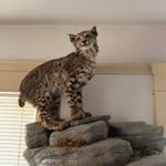 Nelson Murphy - @nelsonmurphy74 - Instagram