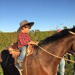 Nelson Navarrete - @nelsonnavarrete8 - Instagram