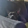 Nelson N. - @nelsonnavas27 - TikTok