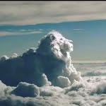 Nelson Newton Tomas - @nelsonnewtontomas - Instagram