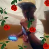 Nelson Noel125 - @nelsonnoel125 - TikTok