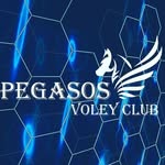Nelson Ocampo - @pegasosvoleyclub - Instagram