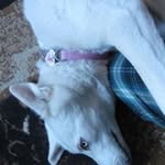 Nelson Alejandro Olvera - @nelsonlver - Instagram