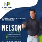 Nelson Palomo - @npalomobienesraices - Instagram