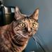 Nelson Pang - Facebook