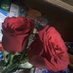 Nelson Patel - @nalson_patel - Instagram