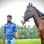 Nelson Paul Palamattam - @mr.nelson_palamattam - Instagram