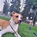Charlie Nelson - Facebook