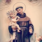 Nelson perera - @perera7900 - Instagram