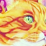 Nelson perera - @perera3914 - Instagram
