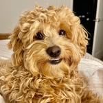 Arlo Nelson Perkins - @arlo_perkins - Instagram