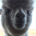 LoganPer7234 - @nelson.perkins - Instagram