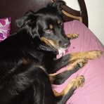 Nelson Polanco - Facebook