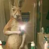 Nelson Polanco - @nelsonpolanco336 - TikTok