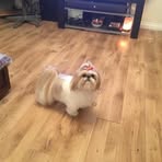 Nelson Poulin - Facebook