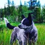 Nélson Pówers - @nelpow - Instagram