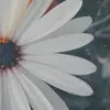 quinn nelson - @quinn.nelsonn5 - TikTok