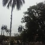 Nelson Quiroga - @nelson.quiroga.9693 - Instagram