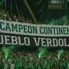 nelsonquiroga - @nelsonquirogaa - TikTok