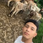 Nelson Ramírez - @nelsonramirez1118 - Instagram