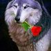 Nelson Ramirez - Facebook