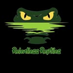 Nelson Raymond - @relentless_reptiles - Instagram